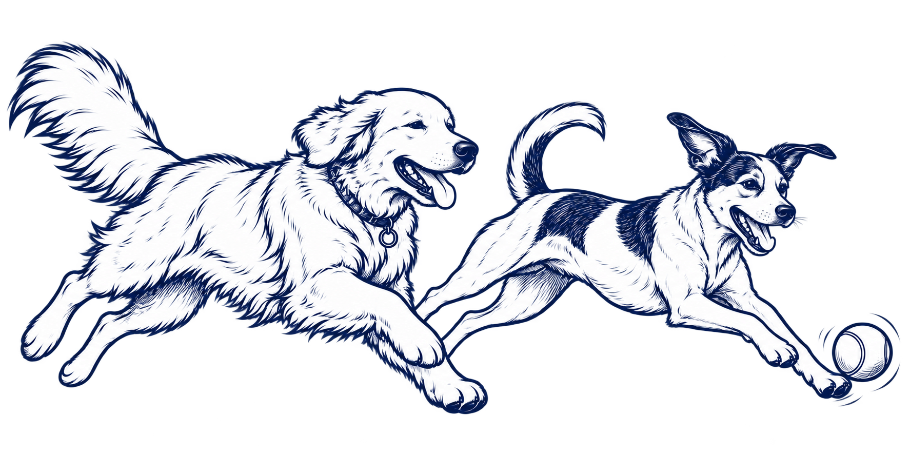 Illustration of two dogs running together chasing a tennis ball